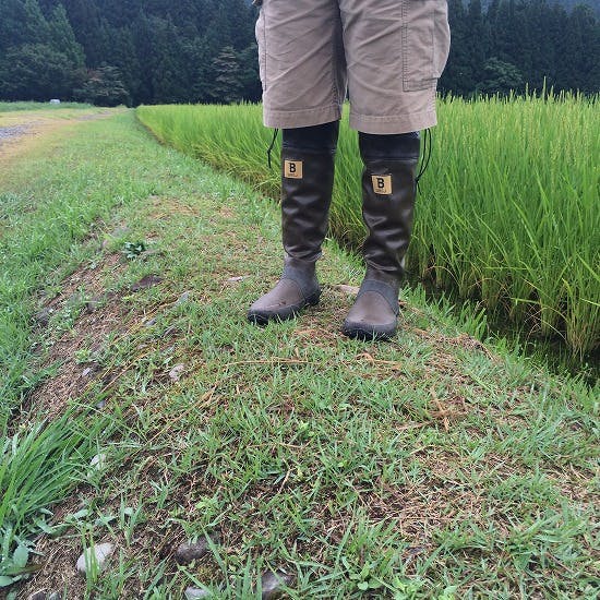 日本野鳥の会 / 長靴 / ブラウン（S〜LL / 全4サイズ） - 北欧、暮らし