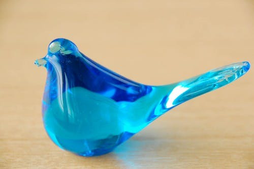 20490180.jpg?auto=format,