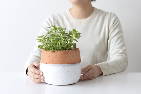 植木鉢/ポエル・M（径15cm） - 北欧、暮らしの道具店