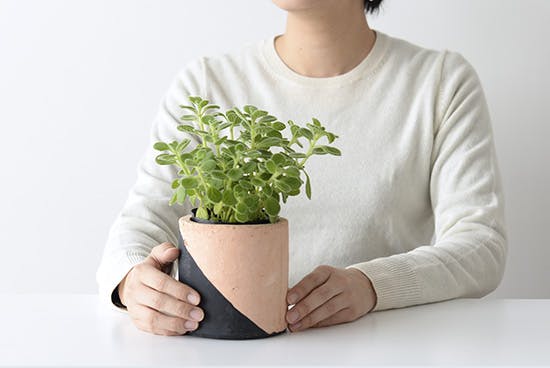 【取り扱い終了】植木鉢/マルユトシリンダー・ブラック（径11cm）の商品写真