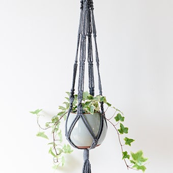 【取扱い終了】コットンプラントハンガー/グレーの商品写真