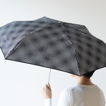 【取り扱い終了】Lisbet Friis/折りたたみ傘/Flower Power mini（ブラック）の商品写真