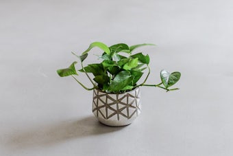 植木鉢/トライアングル・ホワイト（径14cm）の商品写真