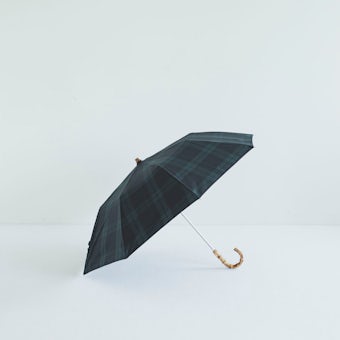 Traditional Weatherwear / トラディショナルウェザーウェア / 折りたたみ傘（ブラックウォッチ）の商品写真