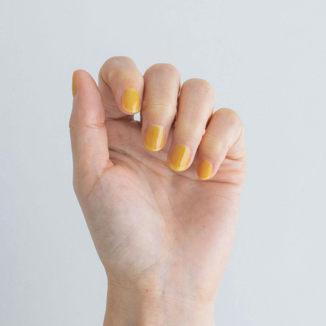 数量限定 Symbolic Nailcolor シンボリックネイルカラー 夏季限定カラー チャーミング マルシェ シトラス サマーハウス 北欧 暮らしの道具店