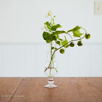 「 “好き” が見つかる、広がる」ちいさなガラスの花びん / stemの商品写真