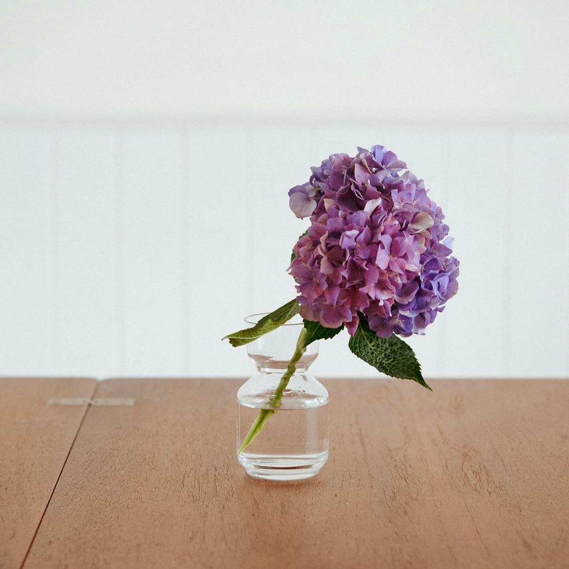 好き” が見つかる、広がる」ちいさなガラスの花びん / stem / pot - 北欧、暮らしの道具店