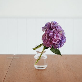「 “好き” が見つかる、広がる」ちいさなガラスの花びん / potの商品写真