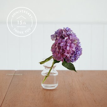 【15周年企画】「 “好き” が見つかる、広がる」ちいさなガラスの花びん / potの商品写真