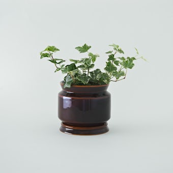 「グリーンひとつから広がる暮らし」陶器の植木鉢（受け皿付き）/ 4号サイズ / amberの商品写真