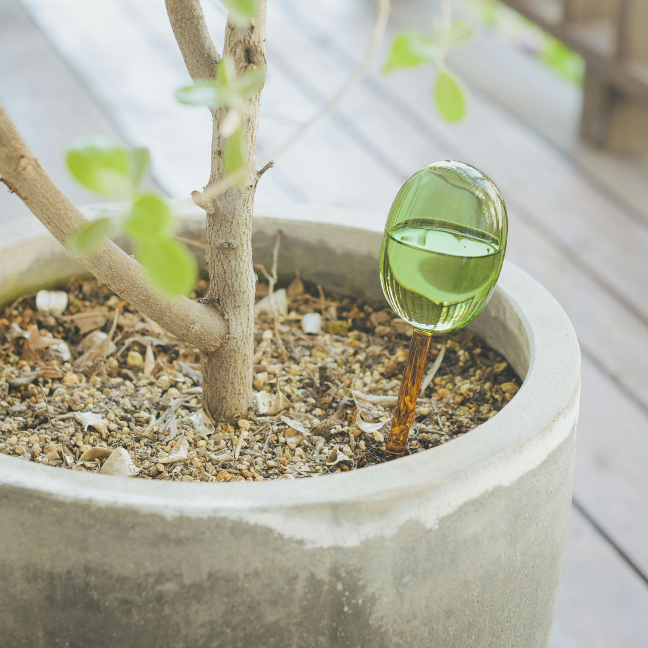amabro / WATER DISPENSER / ディスペンサー（グリーン×アンバー）/ Lサイズの商品写真