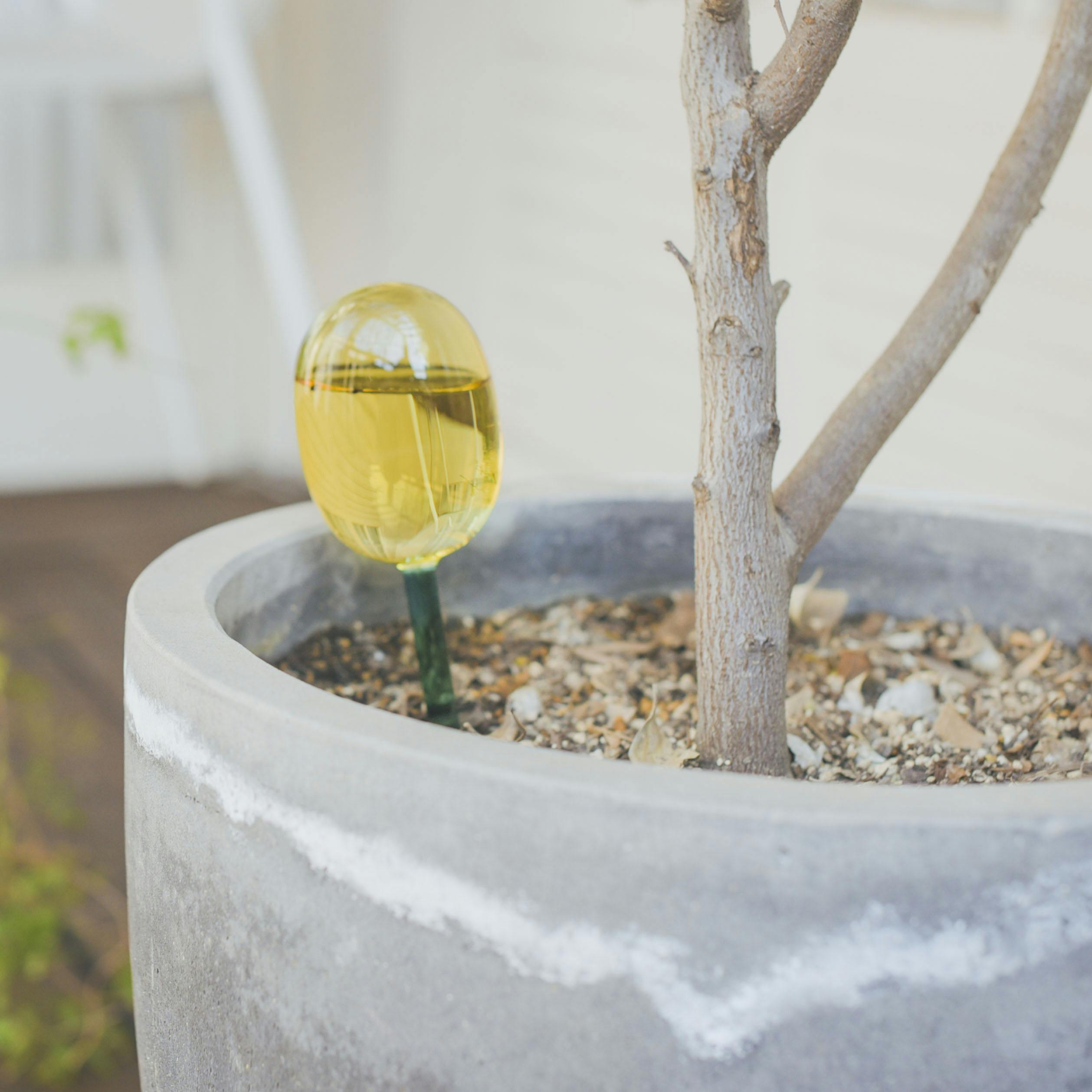 amabro / WATER DISPENSER / ディスペンサー（イエロー×グリーン）/ Lサイズの商品写真