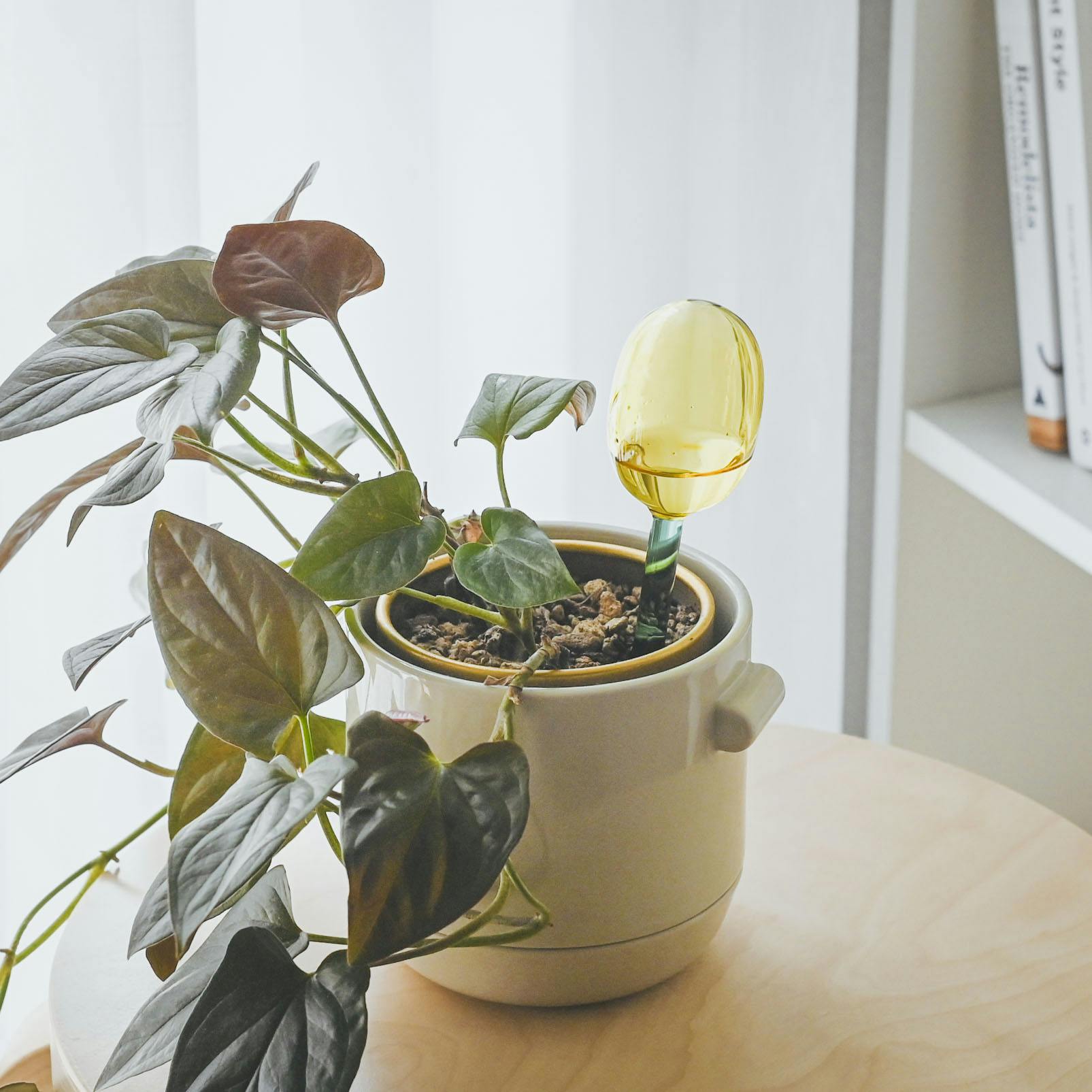 amabro / WATER DISPENSER / ディスペンサー（イエロー×グリーン）/ Sサイズの商品写真