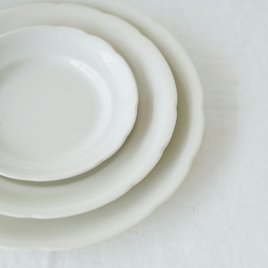 FOOD FOR THOUGHT 花リムスーププレート（24cm） - 北欧、暮らし