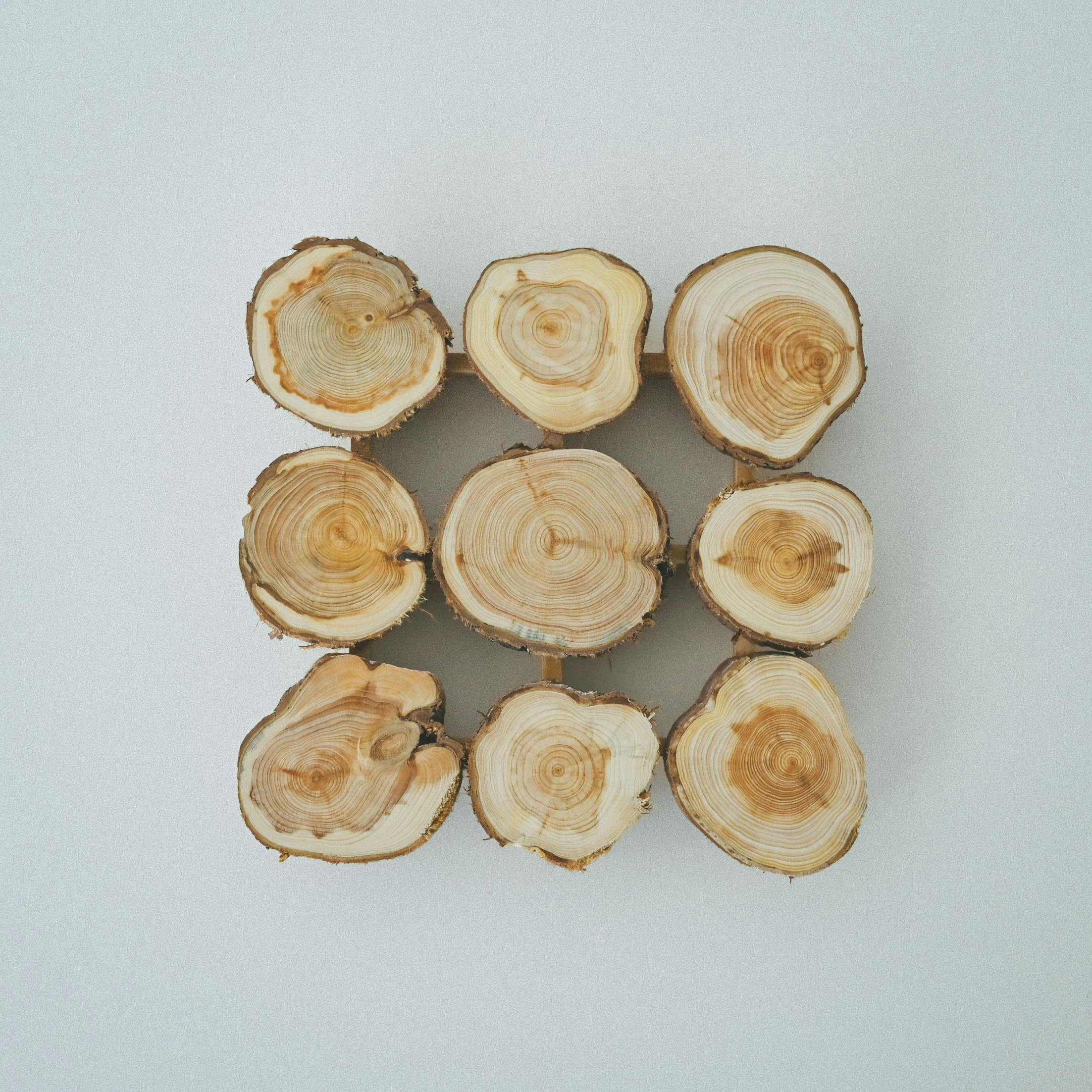 ヘムスロイド / SKANDINAVISK HEMSLOJD / 木製ポットマットの商品写真