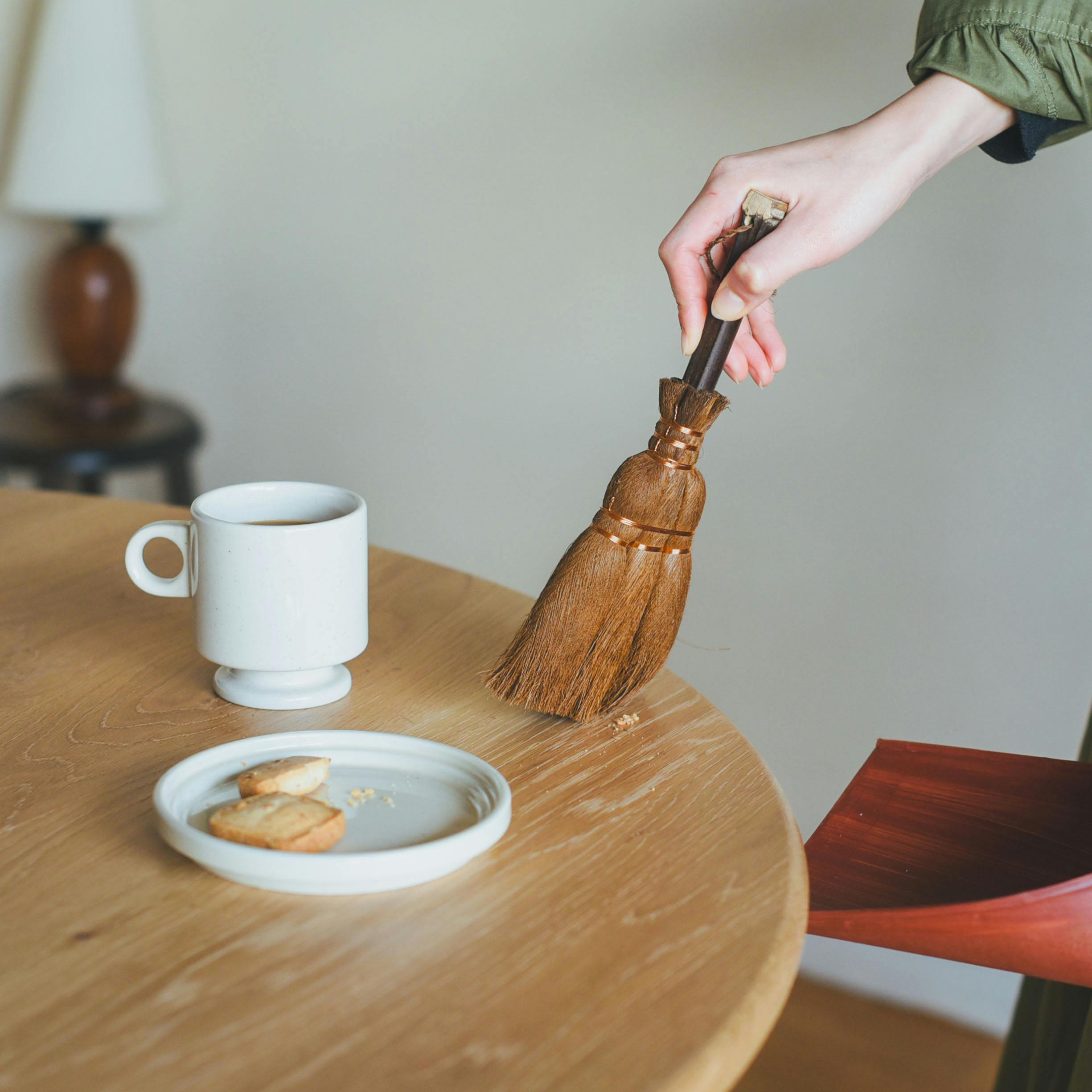 シュロの木 約140センチ 鉢付き ヤシ 南国 観葉植物