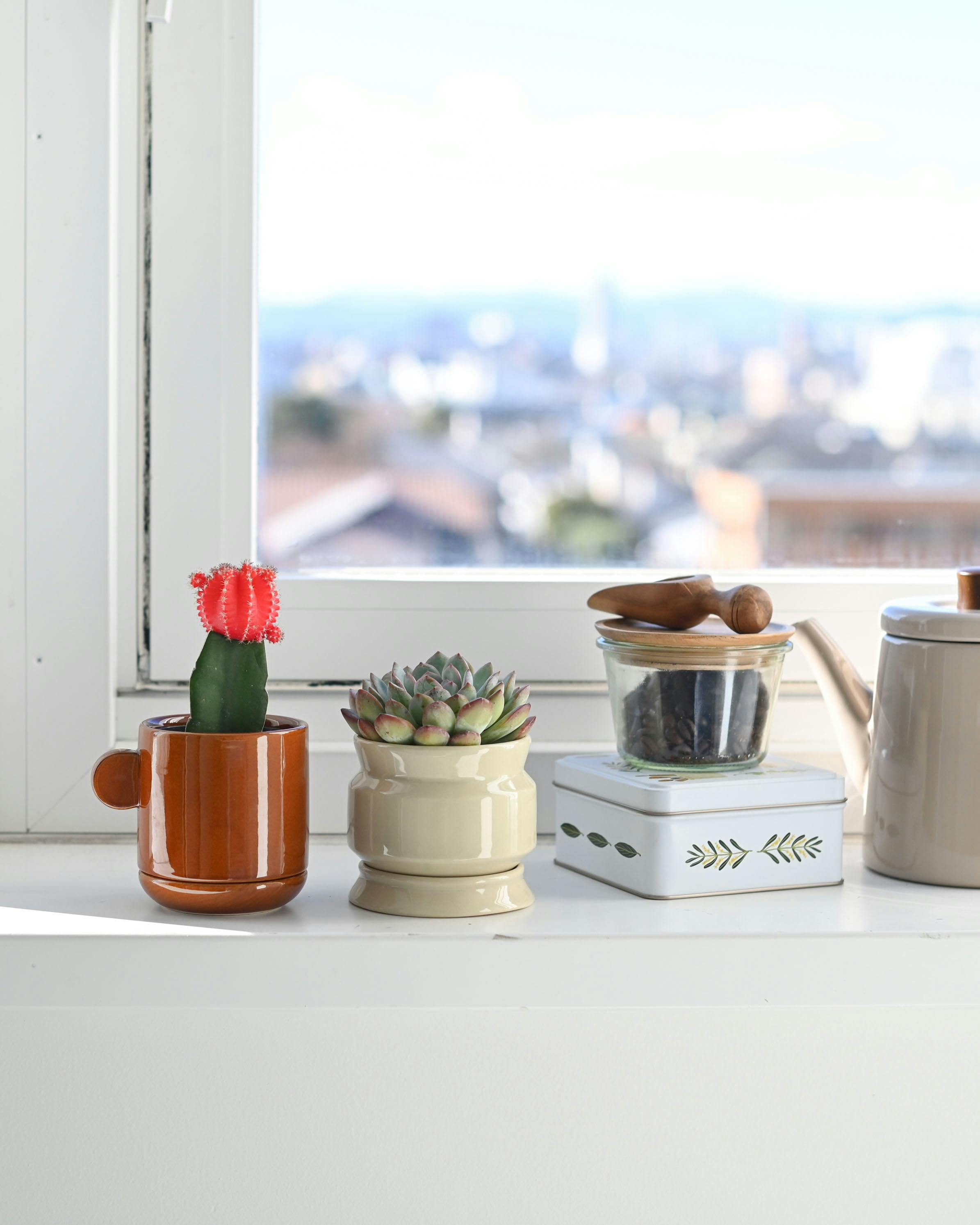 グリーンひとつから広がる暮らし」陶器の植木鉢（受け皿付き