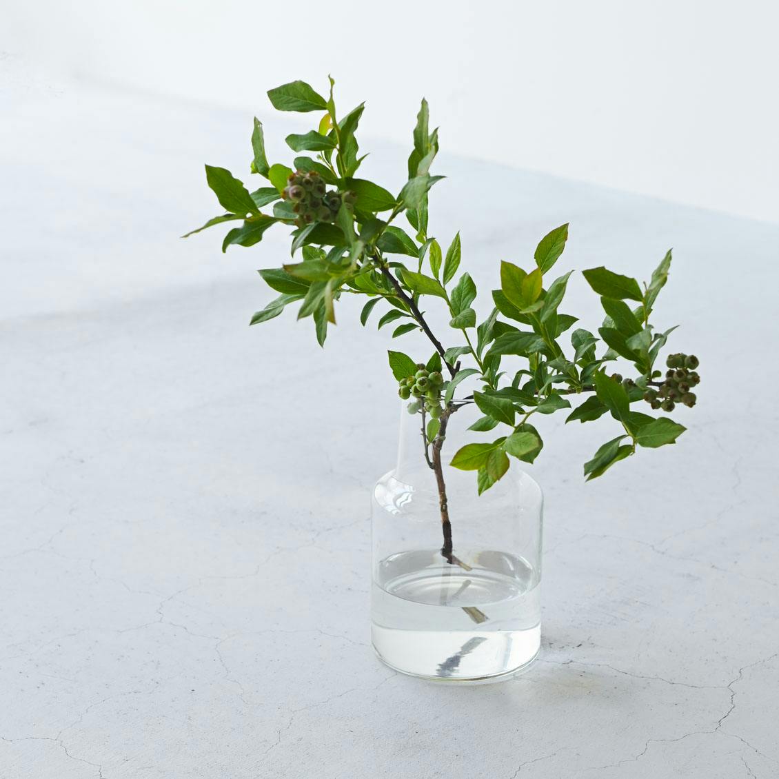 リューズガラス / フラワーベース / 花瓶 - 北欧、暮らしの道具店