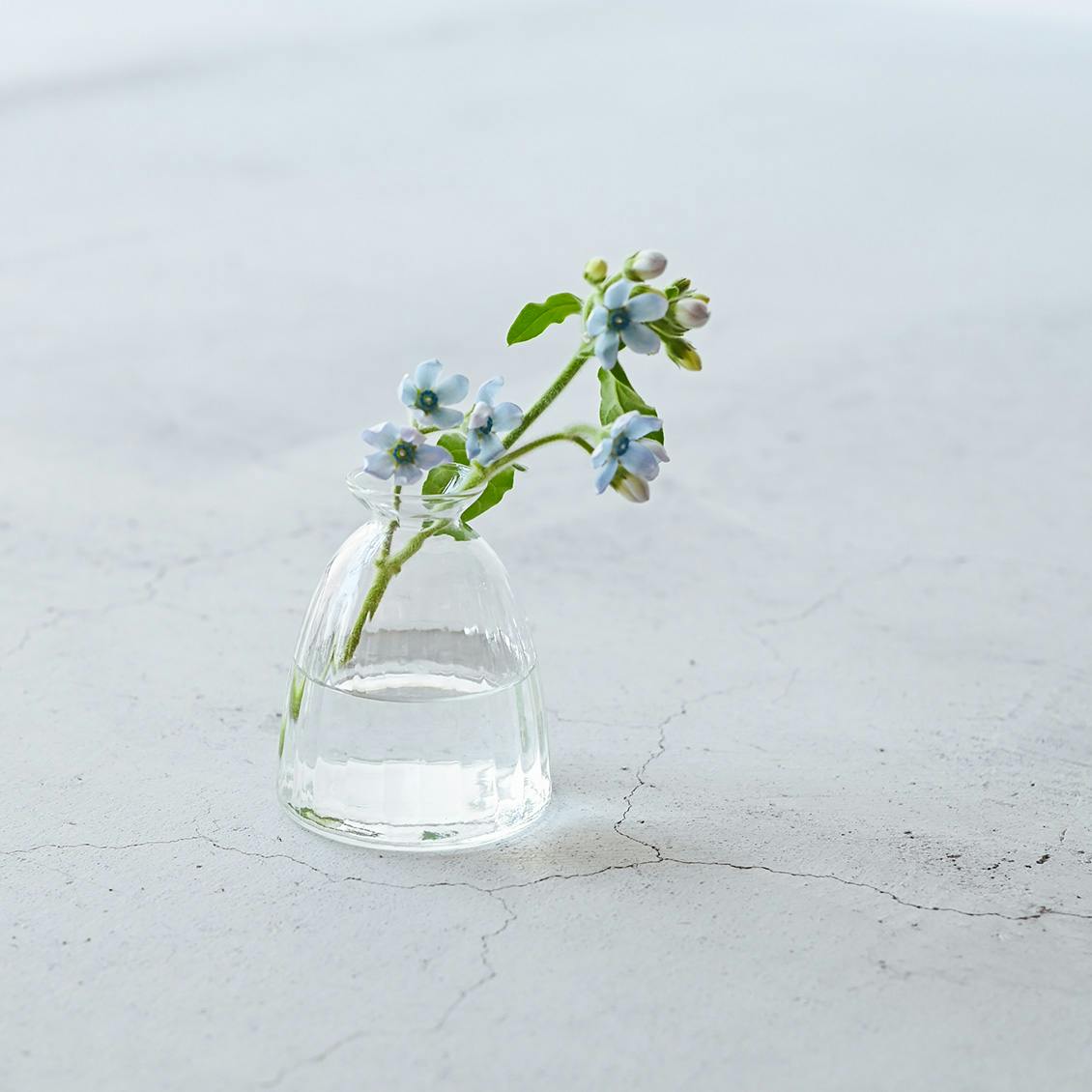 リューズガラス / フラワーベース / トレーヴォ / 高さ9cmの商品写真